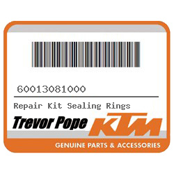 Repair Kit Sealing Rings